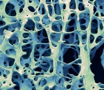 Коррекция и пластика альвеолярного отростка